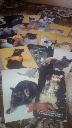 Отдается в дар «открытки «кошки»»
