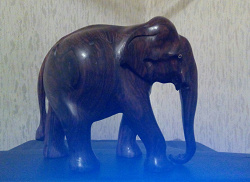 Отдается в дар «слон»
