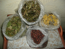 Отдается в дар «Травы, листья (для чая или лекарственных сборов)»