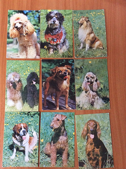Отдается в дар «Карманные календарики с собаками (1991г.).»