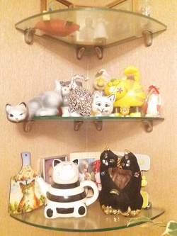 Отдается в дар «кошечка»