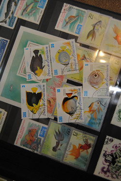 Отдается в дар «Рыбки. Почтовые марки Кубы.»