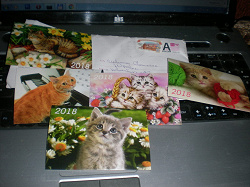 Благодарность за дар Календарики котики