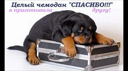 Отдается в дар «Микроблейдинг бровей. Ручной татуаж.»
