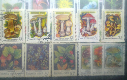 Отдается в дар «марки серия ядовитые грибы»