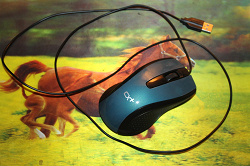 Отдается в дар «Мышь для компьютера»