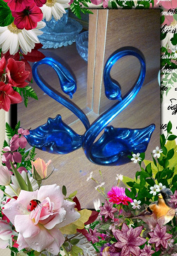 Отдается в дар «Лебеди синего стекла»