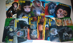 Отдается в дар «Календарики с обезьянками»