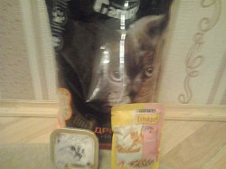 Отдается в дар «Древесный наполнитель + 2 пакетика еды для котёнка»