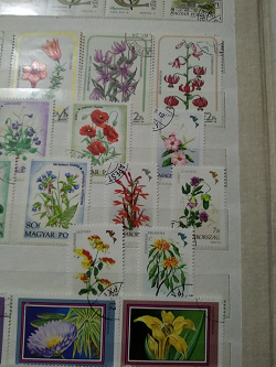 Отдается в дар «Цветы. почтовые марки Венгрии.»