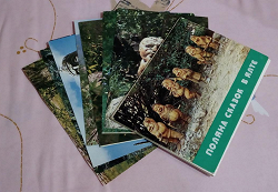 Отдается в дар «поляна сказок, набор открыток»