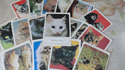 Отдается в дар «Набор открыток «Кошки»»