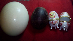 Отдается в дар «Шкатулки-яйца»
