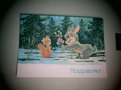 Отдается в дар «Животные на открытках.»