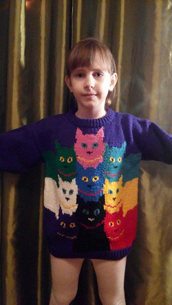 Отдается в дар «Детский кото-свитер»