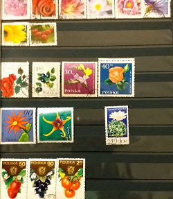 Отдается в дар «Флора. Почтовые марки Польши и ГДР.»