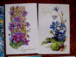 Отдается в дар «открытки с цветами 1976-78»