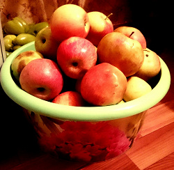 Отдается в дар «5 кг яблок»