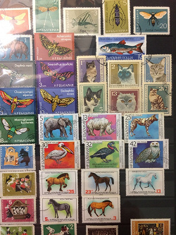 Отдается в дар «Фауна на почтовых марках всего мира.»