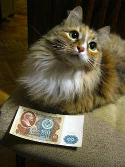 Отдается в дар «Советские рубли»