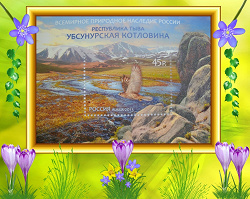 Отдается в дар «Марки»