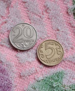 Отдается в дар «Монетки Казахстан»