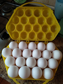 Благодарность за дар Лоток для яиц