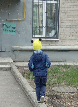 Отдается в дар «Шапочки»