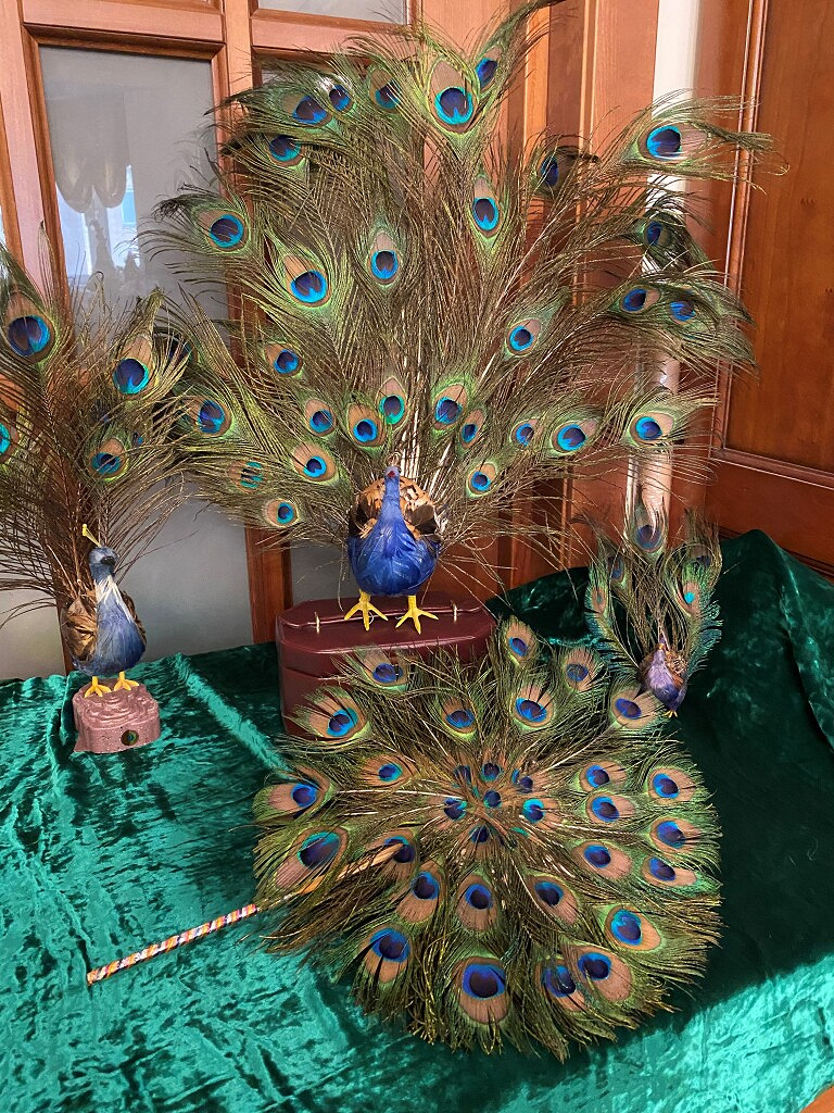 Павлиньи перья в доме