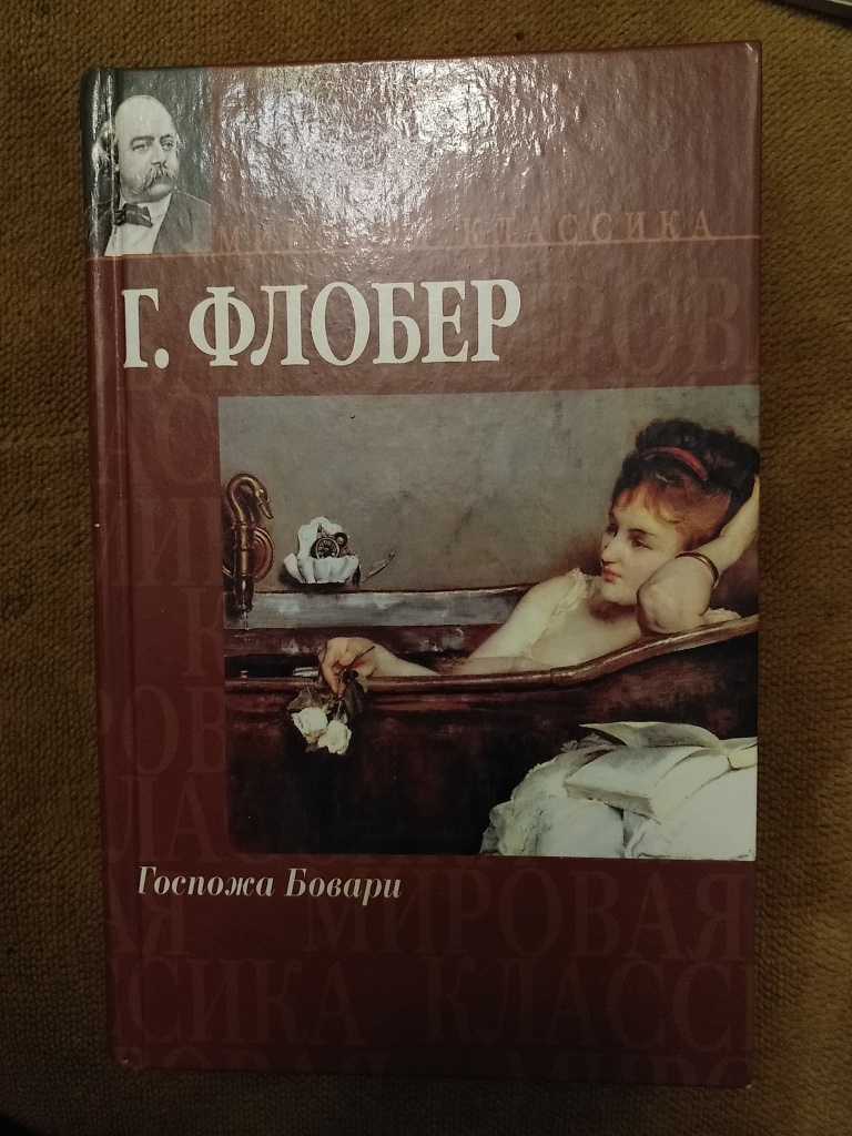 Композиция госпожа бовари флобер. Особенности стиля художественного стиля Флобера мадам Бовари.