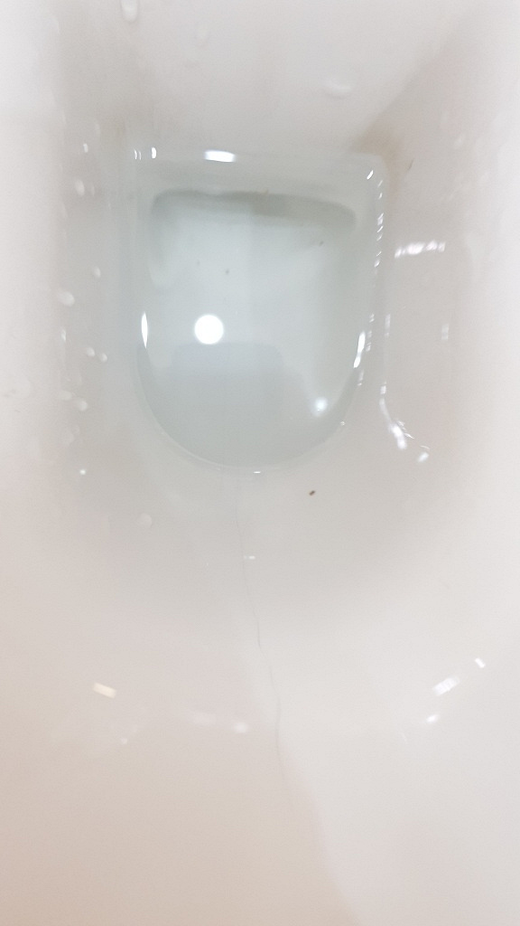 Унитаз с газ лифтом в дар (Санкт-Петербург). Дарудар