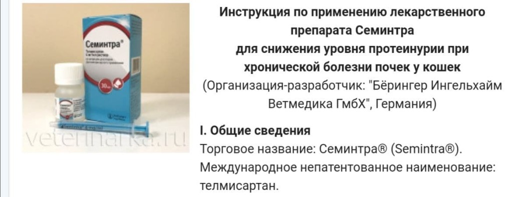 Телмисартан для кошек