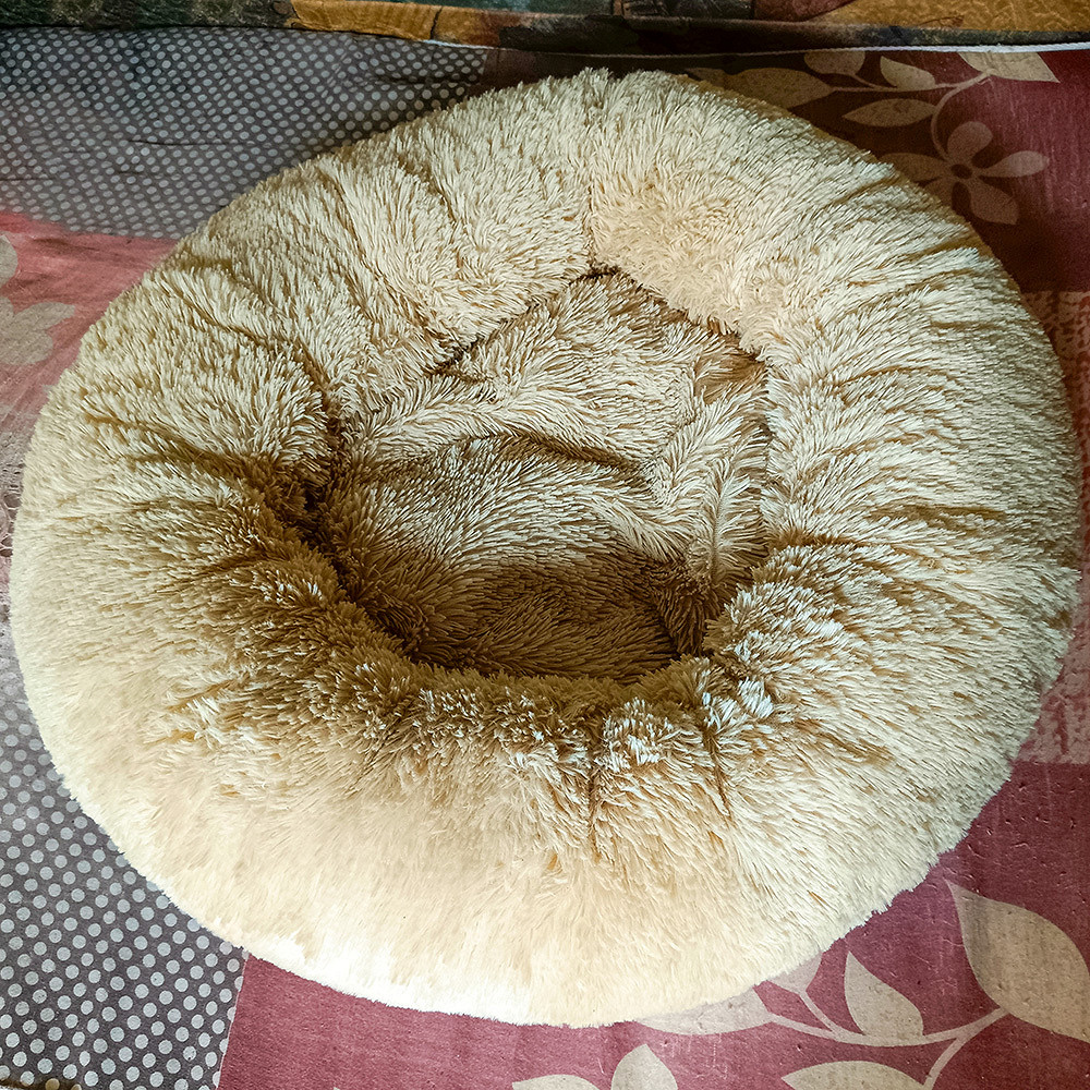 Диванчик-бублик для кота/кошки или маленькой собачки в дар (Москва ...