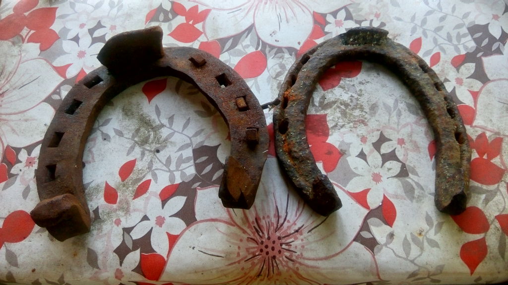 Найти подкову на счастье. Половина подковы. Старинные подковы. Золотая подкова старинные. Найдена подкова в воде.