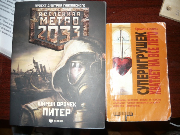 Купить Книгу Метро 2033 Питер