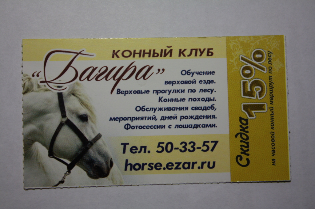 Кск скидки. Визитка конного клуба. Конные визитки. Сертификат на конную прогулку. Визитка лошадь.