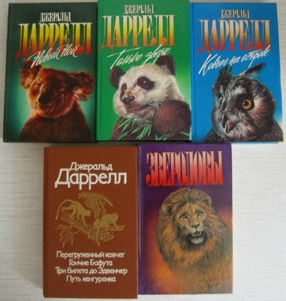 Гончие бафута картинки