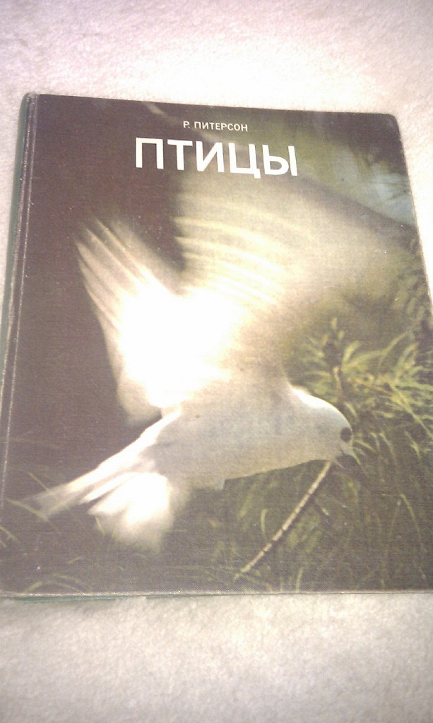 Птицы учебник. Р.Питерсон птицы 1973. Птица на учебнике литературы. Птица философия. Удивительная философия птиц.