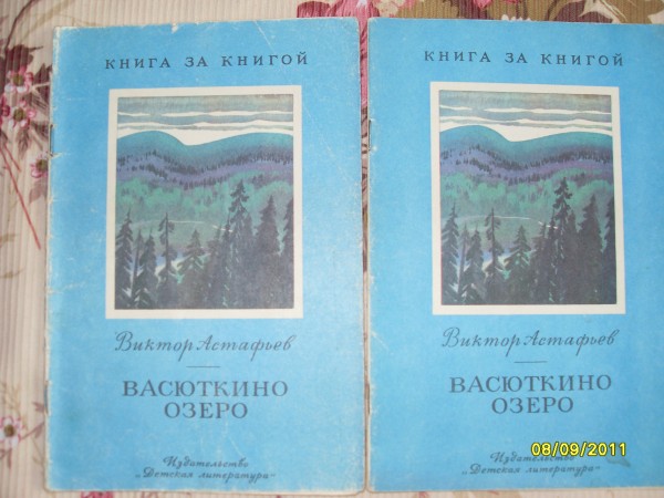 Книга васюткино озеро