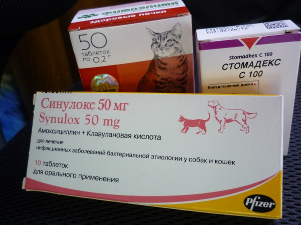 Стоморджил 10 Купить В Москве Для Собак