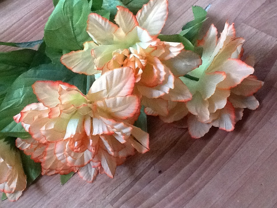 Ветки цветов в дар (Москва). Дарудар