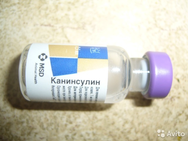 Канинсулин для кошек дозировка и схема приемки
