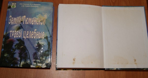 Где Купить Книги Тюмень