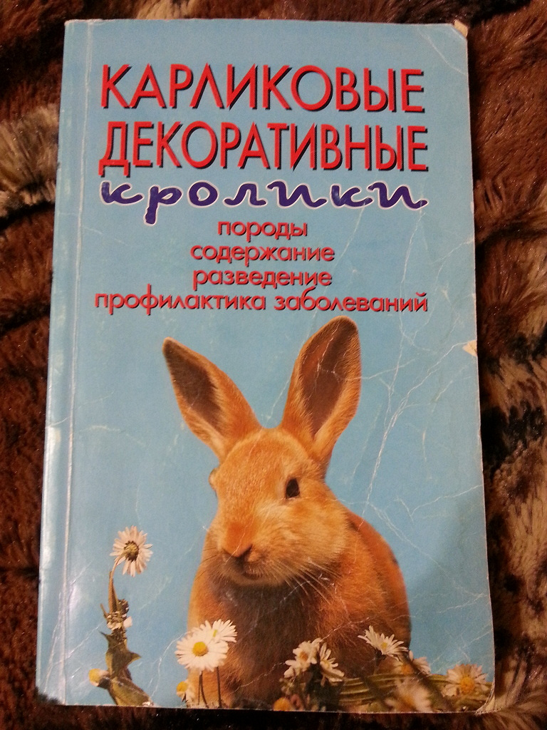 Овощи и фрукты