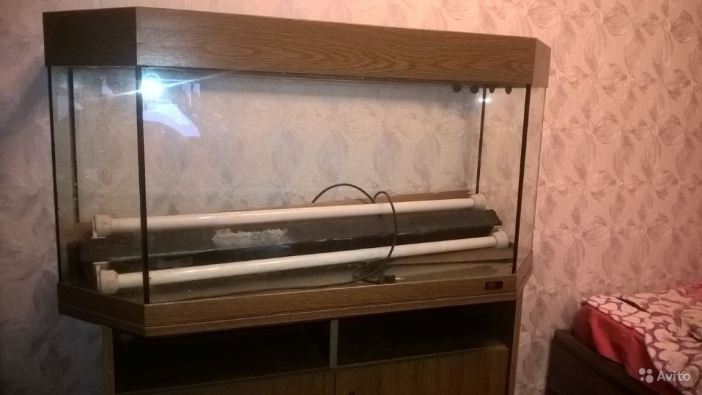Аквариум Нижний Новгород Купить Бу