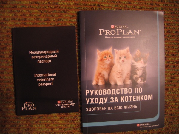Где Купить Паспорт Коту