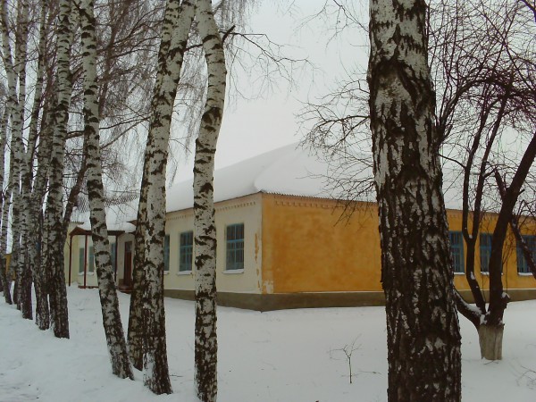 Курск ходит. Село Линец Курская область. Линец Железногорский район.