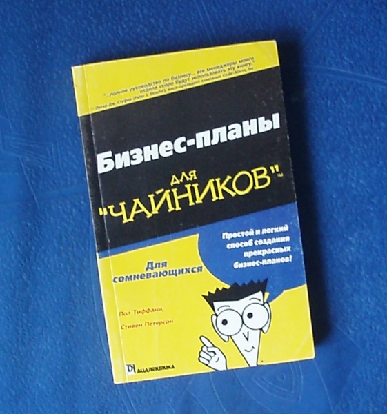 Управление проектами для чайников книга