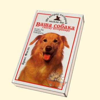 Три минуты ради собаки книга. Ваша собака. Ваша собака у нас. Собака книга ваш лучший друг страницы. 101 Вопрос который задала бы ваша собака.