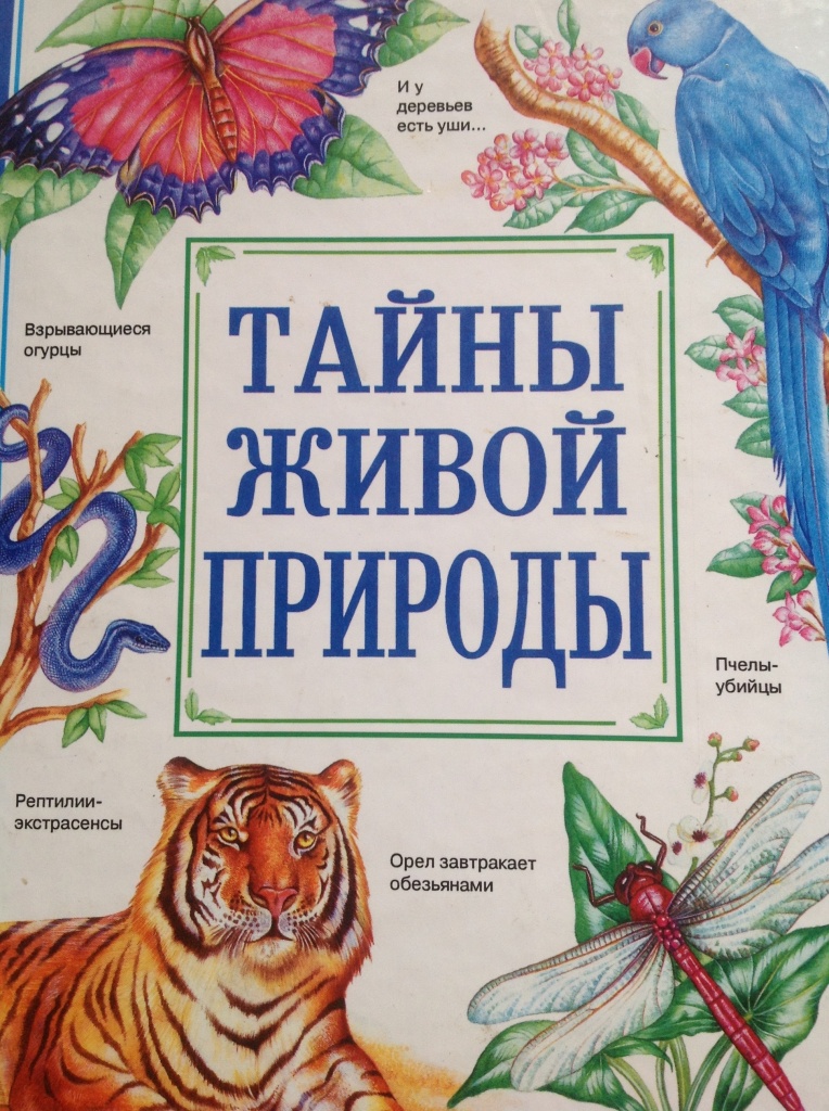 Мир животных в волшебных картинках книга